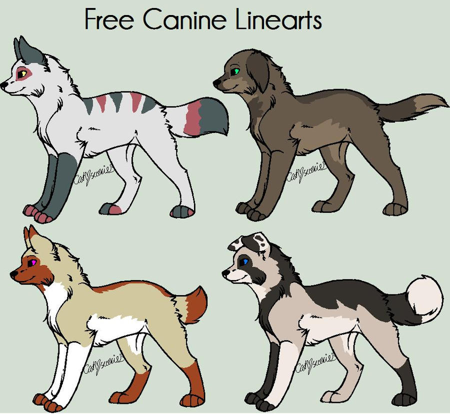 Canine Adoptables set  4.