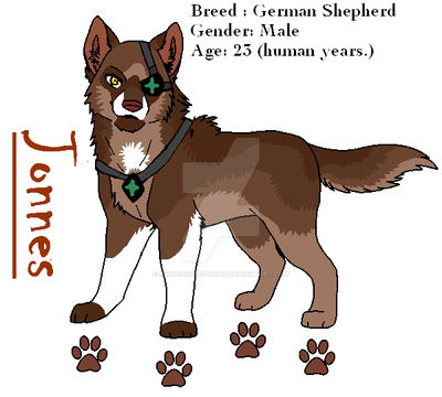 Jonnes - Reference Sheet