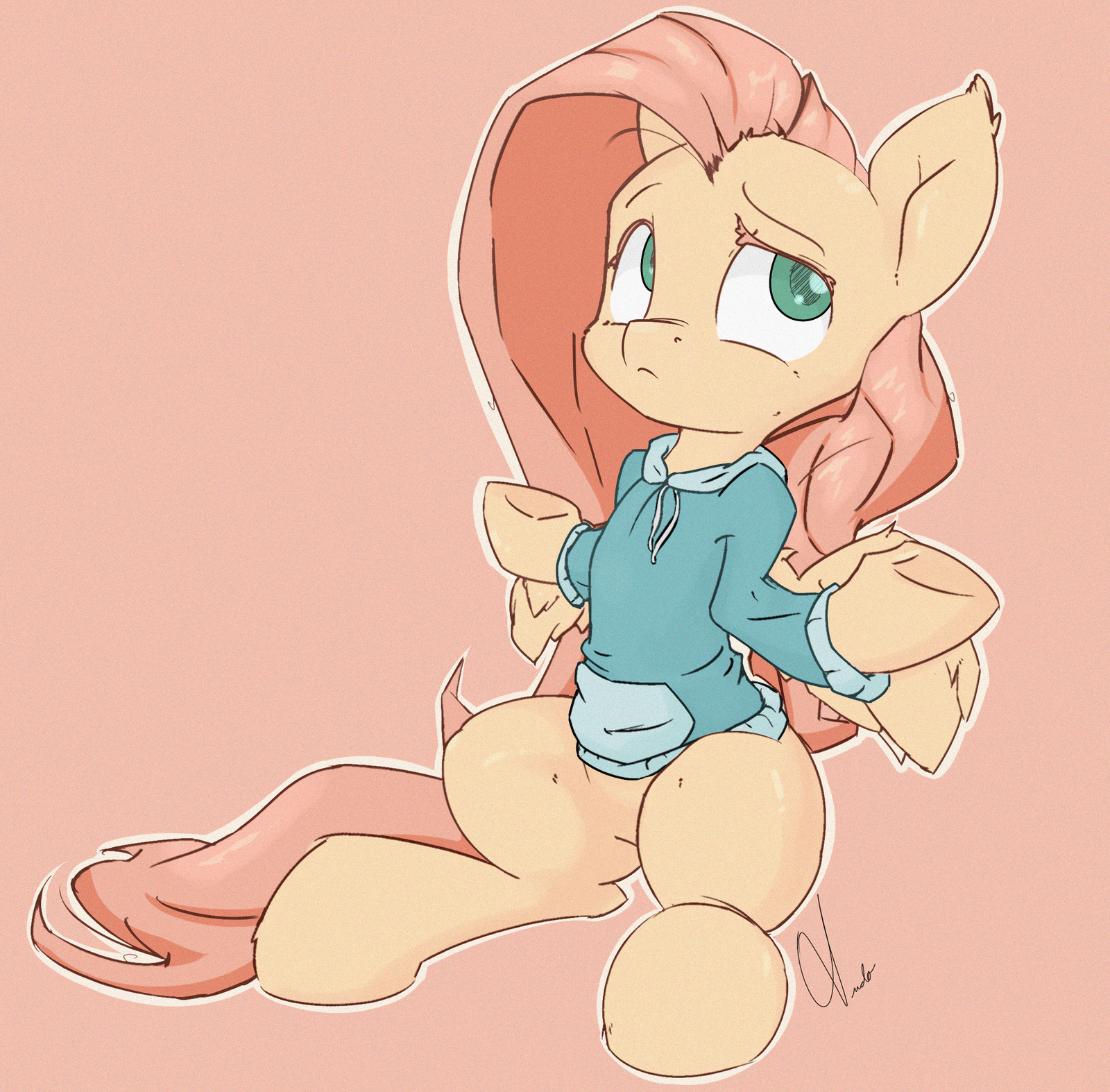 hoodie fluttershy