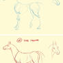 How I draw a horse