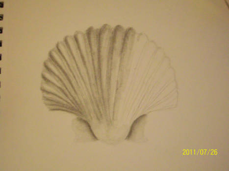 Unfinished Seashell