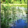 lake romance