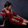 stripes project