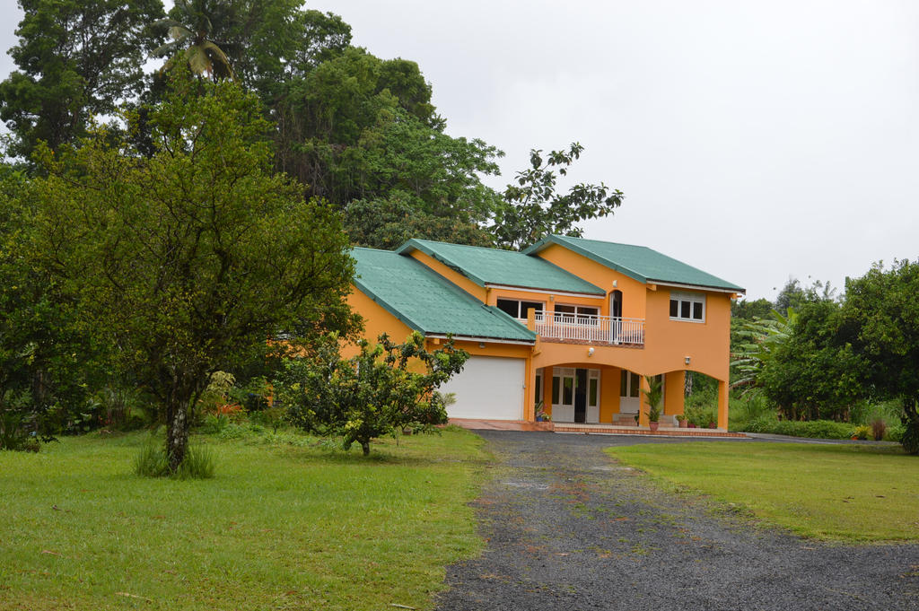 House and vegetation of Martinique 2