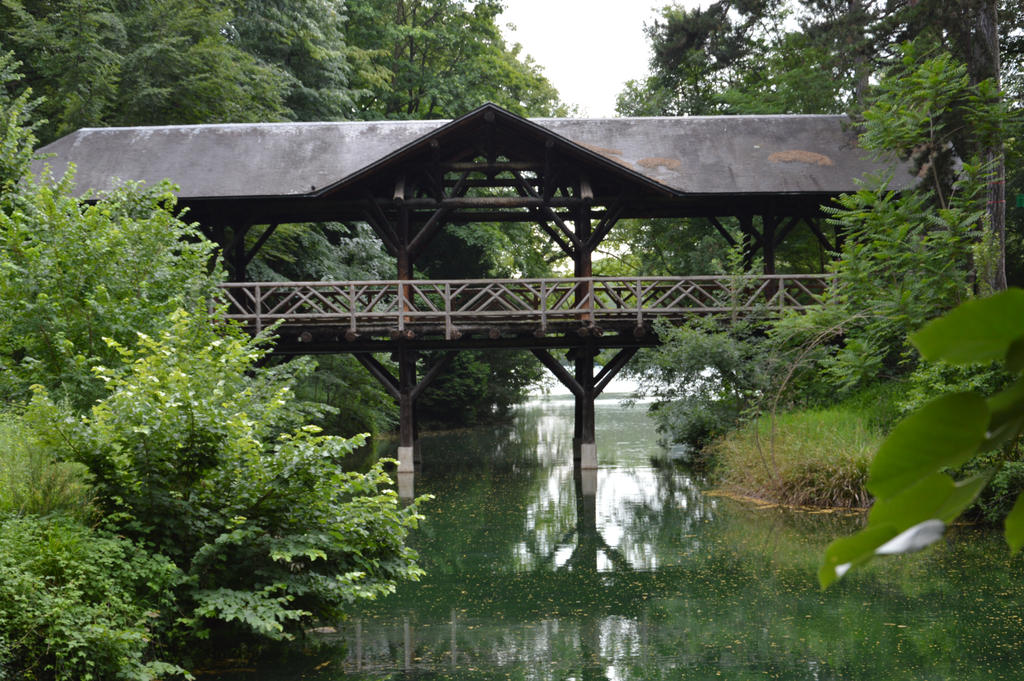 Wood bridge