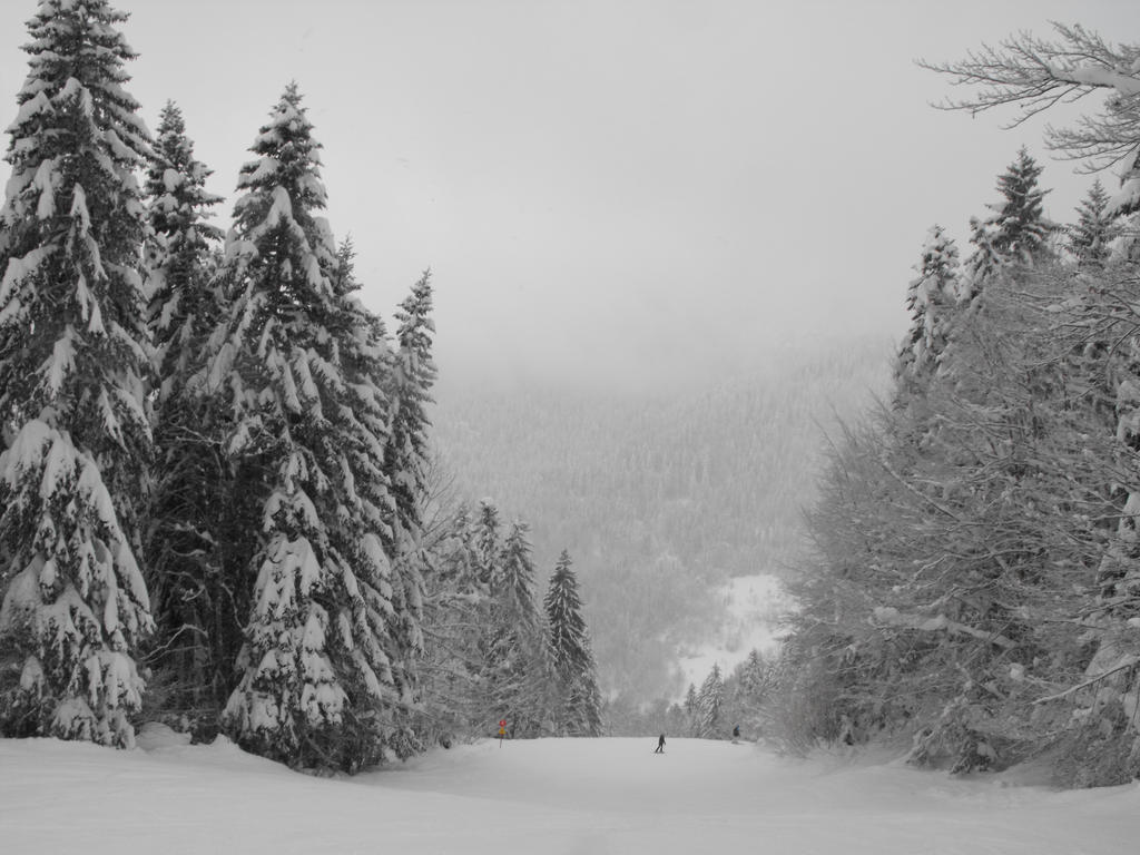 Massif of Grande Chartreuse in the fog