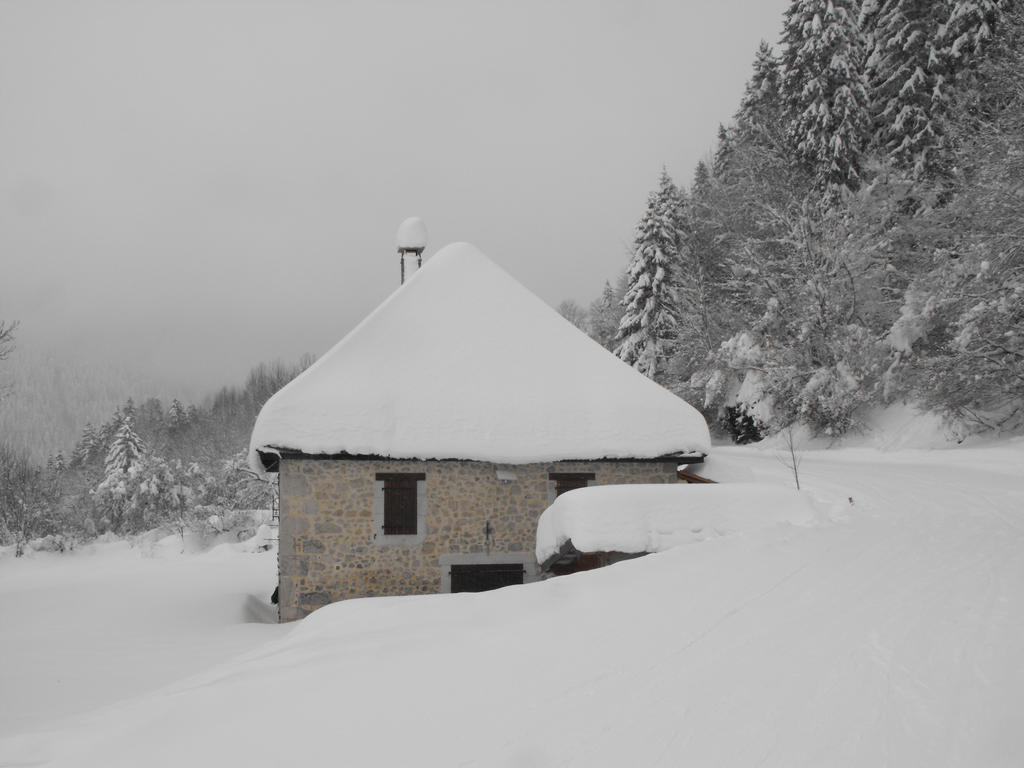 Snowy house and Forest of Grande Chartreuse