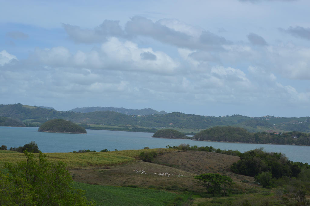 LA TRINITE landscape and its bay