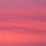 Texture : pink cloud of natural sunset