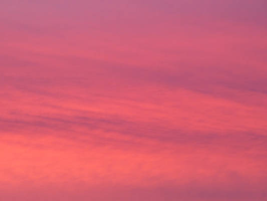 Texture : pink cloud of natural sunset