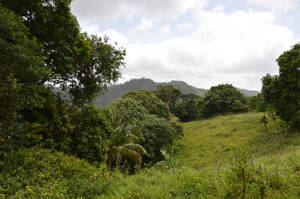 Landscape of Martinique by A1Z2E3R