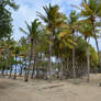 Marigot Beach to Les Saintes Island