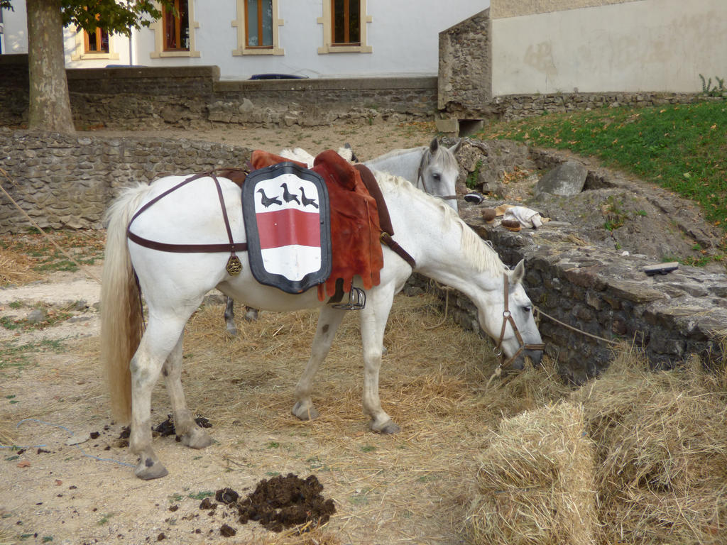 Medieval horse