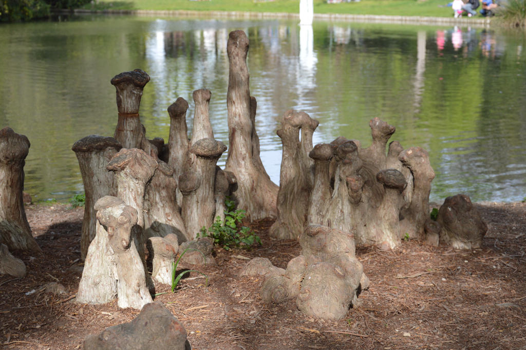 Curious Roots Curious roots by A1Z2E3R on DeviantArt