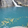 Leaves in the blue water of Acomat Waterfall