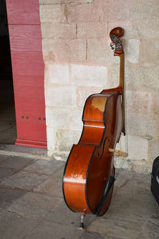 Three strings violoncello