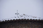 Roof of snowy church Saint Blaise by A1Z2E3R