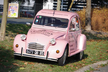 Pinky CITROEN 2 CV vintage