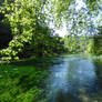 Peaceful Sorgue River around vegetation