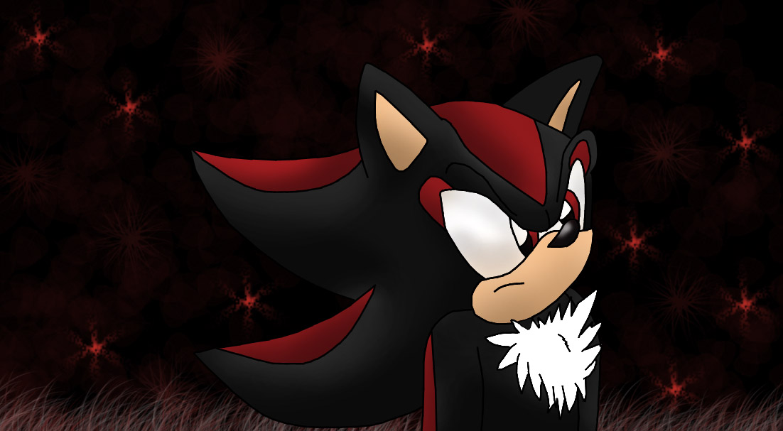 Shadow the Hedgehog