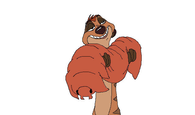 Timathon Racoon Timon by anderzpanderz on DeviantArt