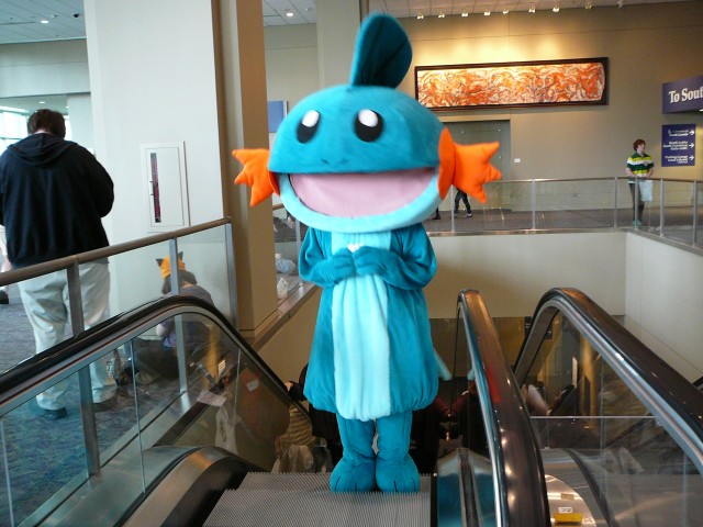 Mudkip