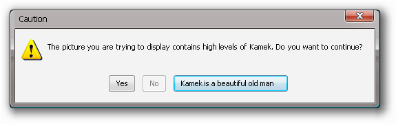 Kamek Error