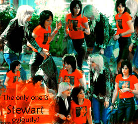 Stewart