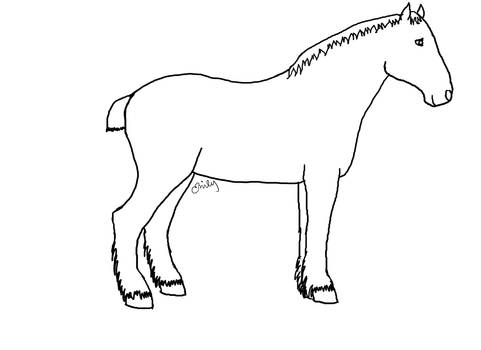 Horse Lineart 2