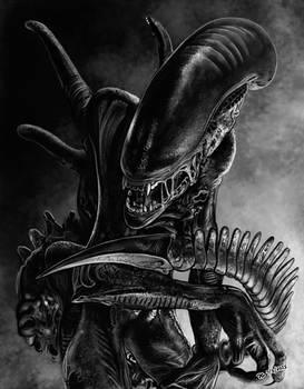 Xenomorph