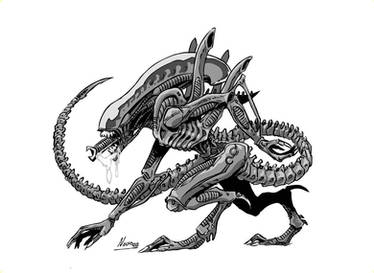 Xenomorph