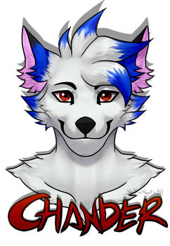 Chander badge