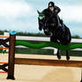 Demone - Show jumping Entry