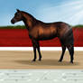 Wiona Utopia GMS - KWPN Mare - OPEN FOR LEASE