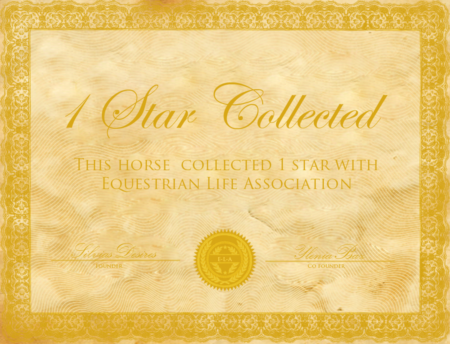 1 star collected - Certificate for horses