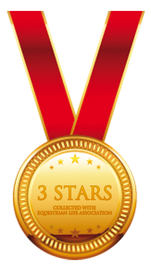 3 Stars Collected - Medal