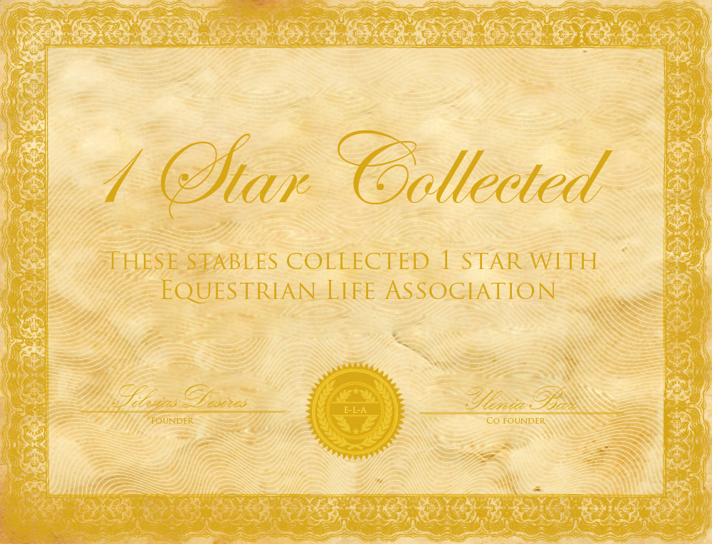 1 star collected - Certificate for stables