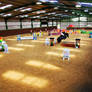 Indoor Show jumping arena