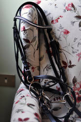My new Bridle by SilviasDesires