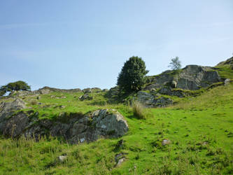 Hillside footpath 2