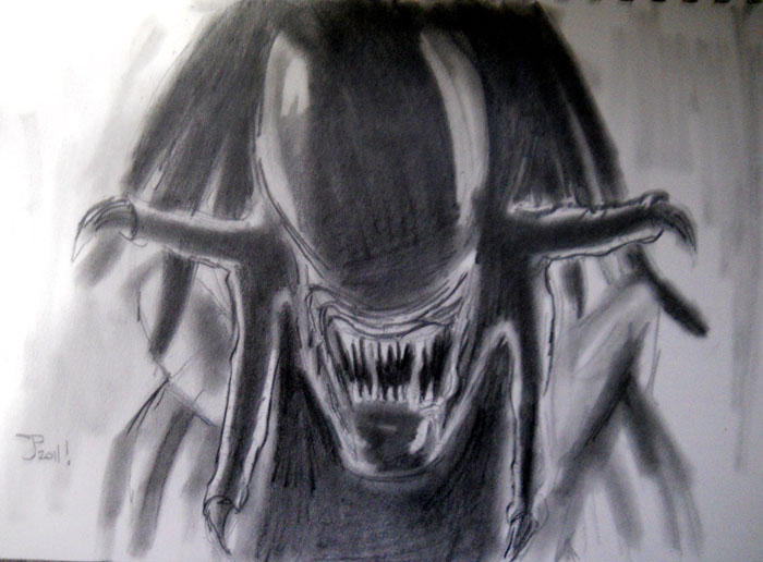Predalien Line Drawing MM Predalien by jonathanstrange on DeviantArt