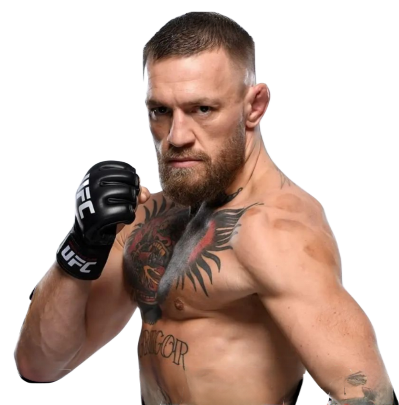 Connor Mcgregor render 2022 by Jamesaxl010 on DeviantArt