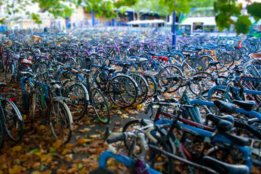 Sea of bikes