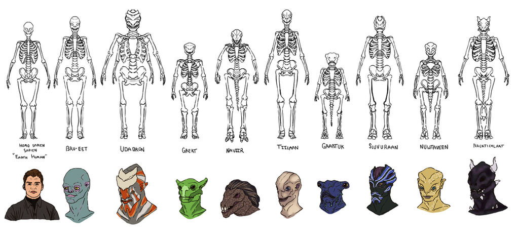 Alien Skeletal Structure 01 by IkeMann5000 on DeviantArt