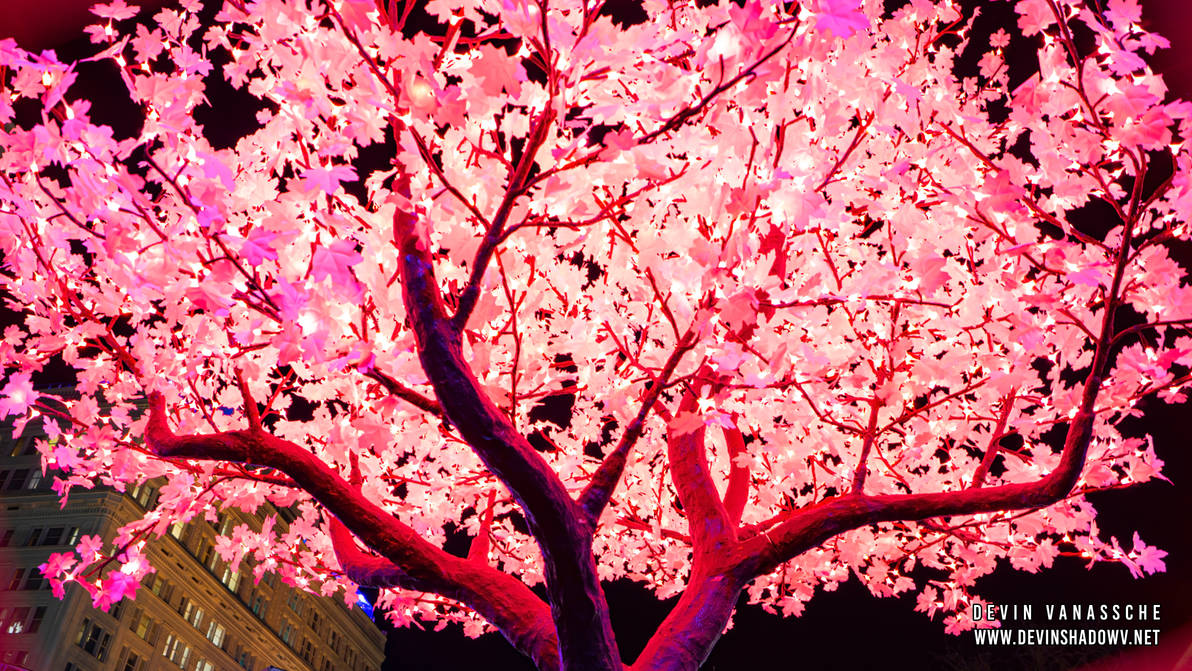 Pink Tree by DevinShadowV on DeviantArt