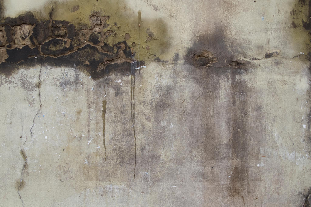 Plaster Damaged Texture by SimoonMurray