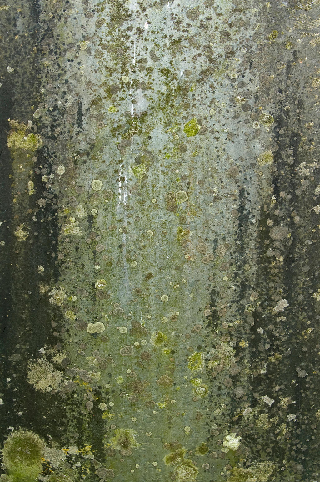 Grunge Texture 03