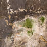 Grungy Plaster Texture 01