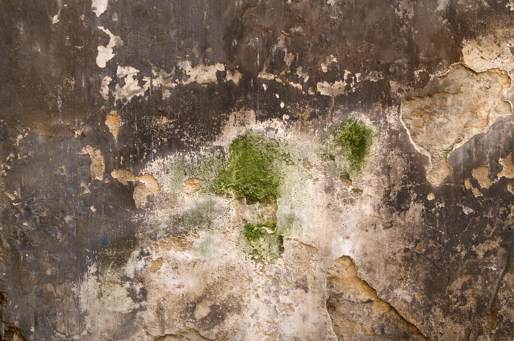 Grungy Plaster Texture 01