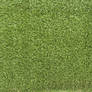 Grass Texture 02